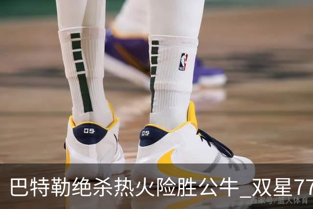 巴特勒绝杀热火险胜公牛 双星77分森林狼大胜